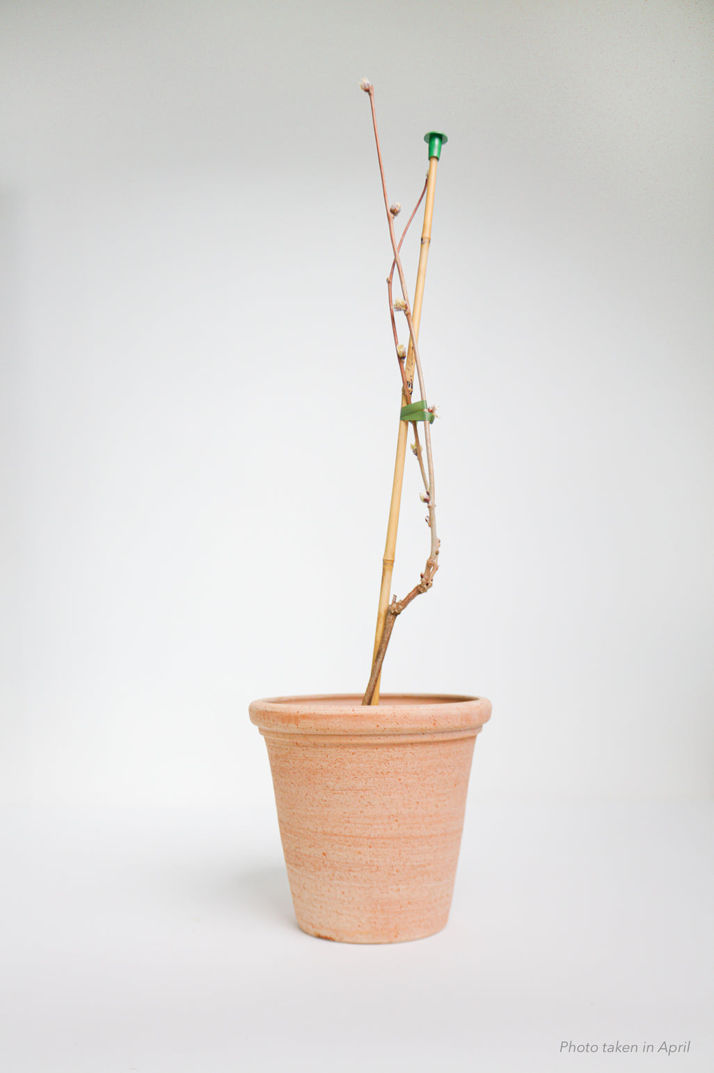 products/SotoProductShootLowQ-2031.jpg